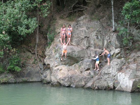 currumbin rock pool