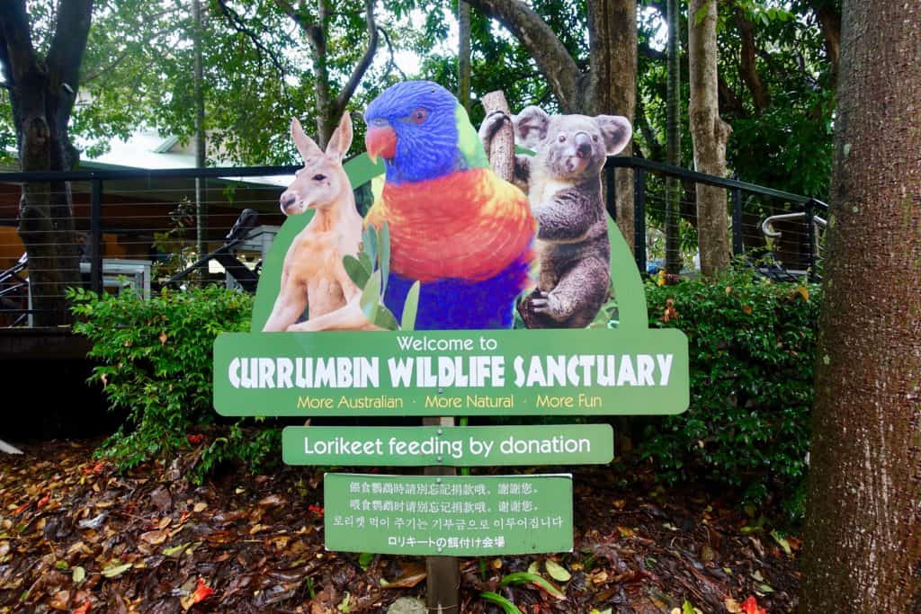 currumbin wildlife park