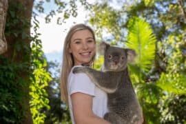 currumbin wildlife sanctuary currumbin qld