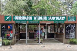 currumbin wildlife sanctuary queensland