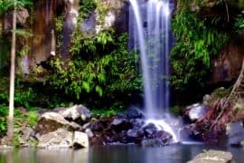 curtis falls mt tamborine