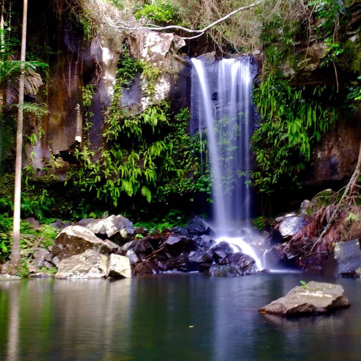 curtis falls mt tamborine