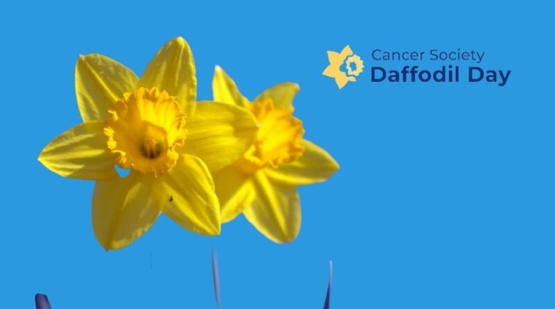 daffodil day 2023