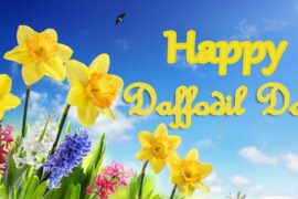 daffodil day