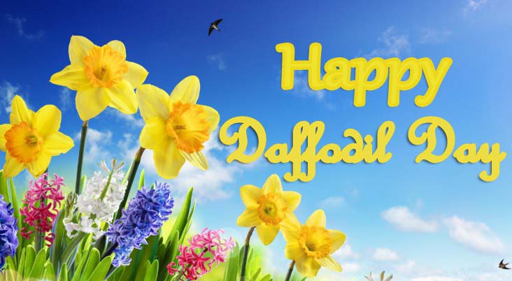 daffodil day