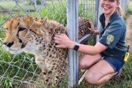 darling downs zoo