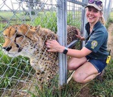 darling downs zoo