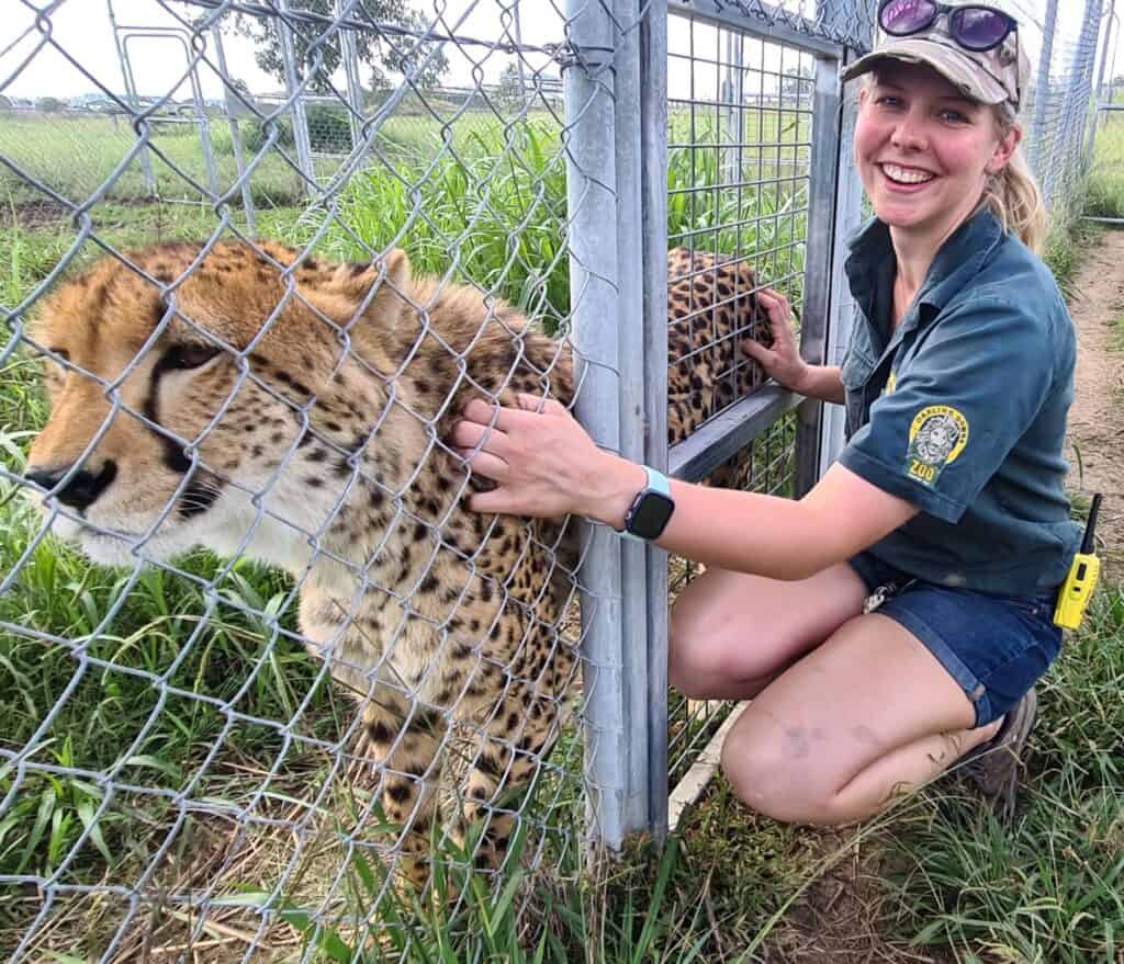 darling downs zoo