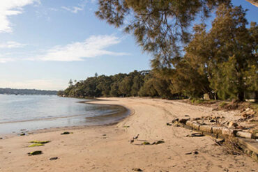 darook beach cronulla sydney