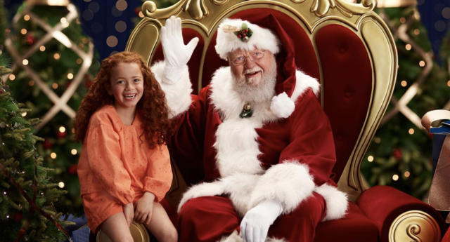 david jones santa photos 2022