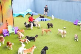 daycare near me