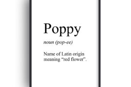 definitions of names