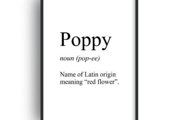 definitions of names