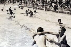 dence park pool sydney