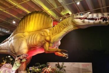 dinosaur museum brisbane