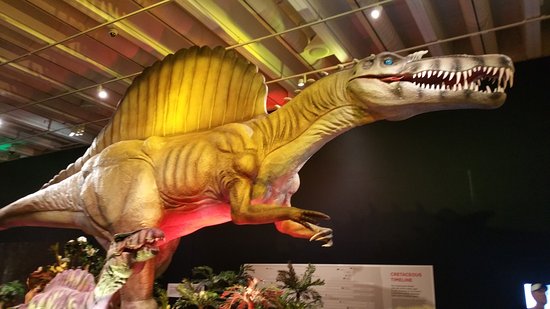 dinosaur museum brisbane