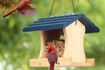 diy birdhouse feeder