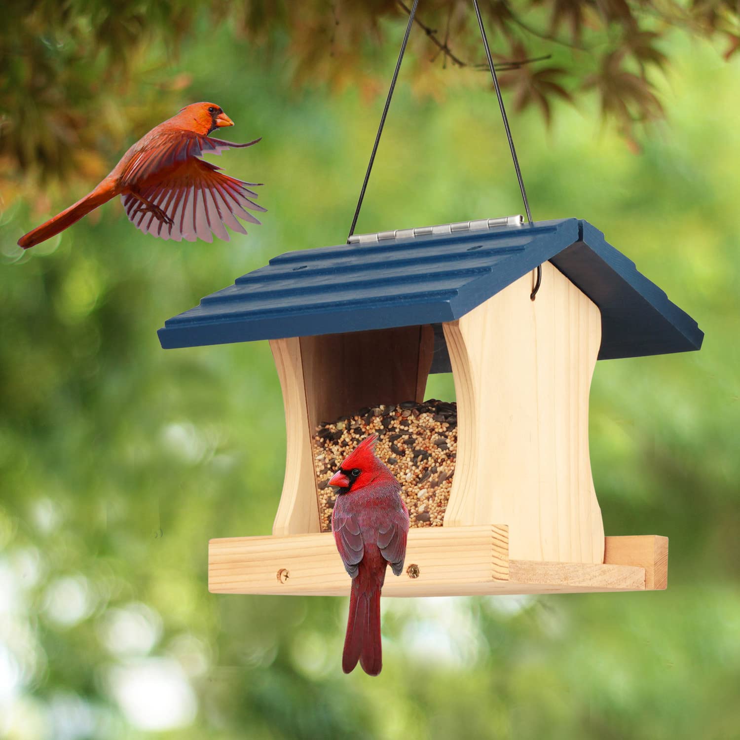 Create Your Own DIY Birdhouse Feeder And Watch The Birds Flock!