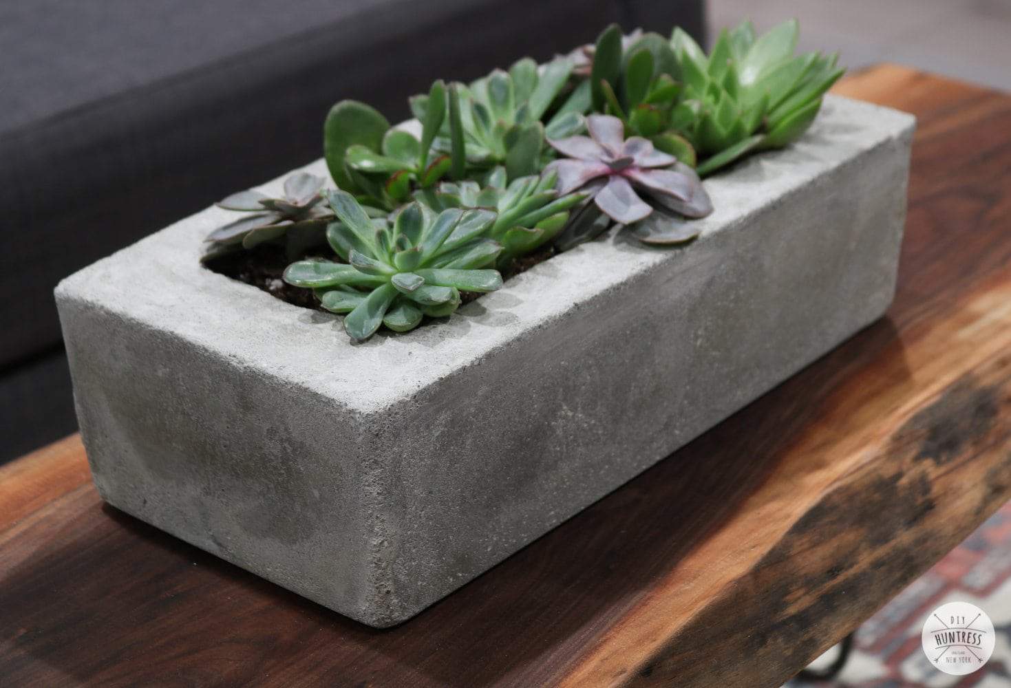 diy concrete planter