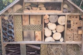 diy insect hotel