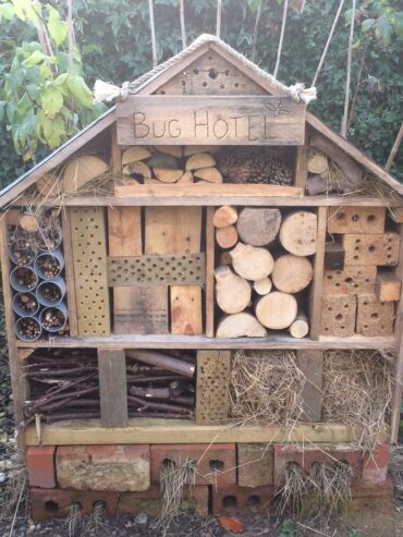 diy insect hotel