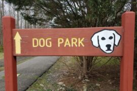 dog parks close to me