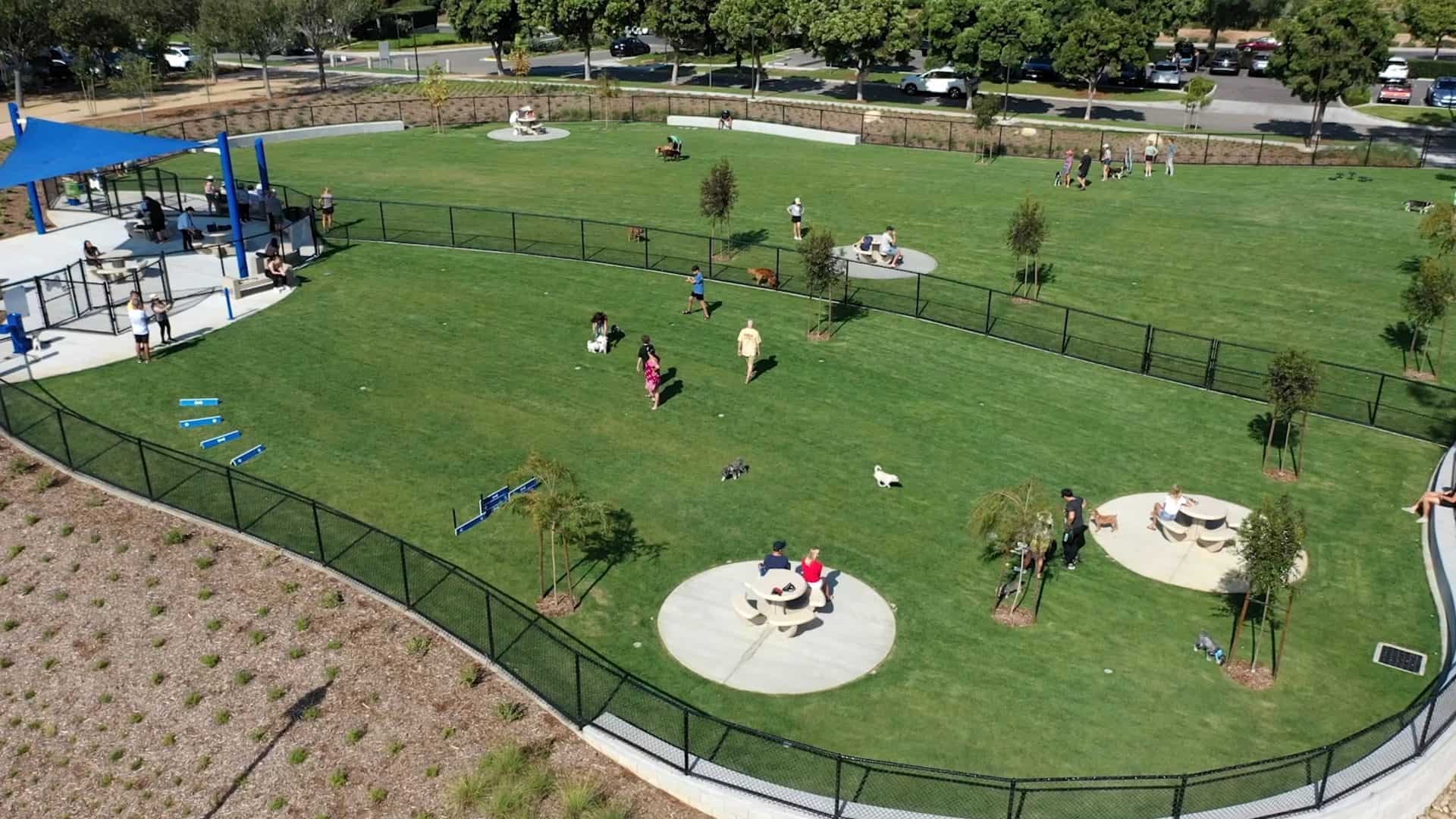 explore-off-leash-dog-parks-near-me-for-fun-and-play