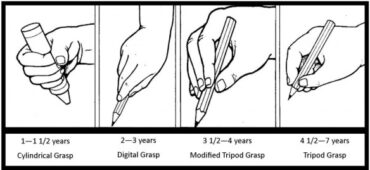 drawing development