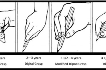 drawing development