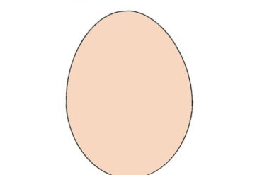 drawing of egg