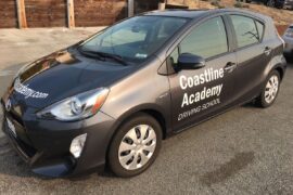 driving lesson schools near me