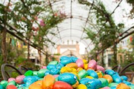 easter eggs for hunt sydney