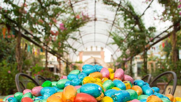 easter eggs for hunt sydney