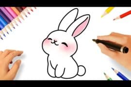 easy bunny drawing