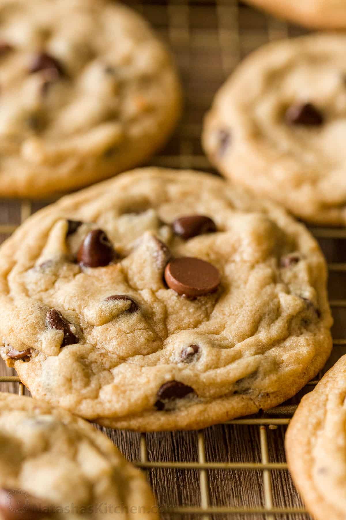 easy chocolate chip cookie recipe