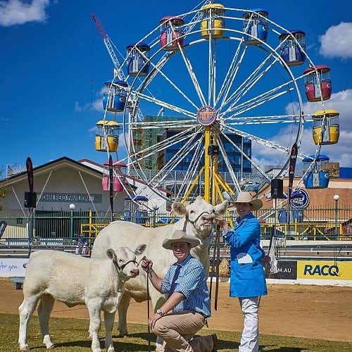 ekka in brisbane