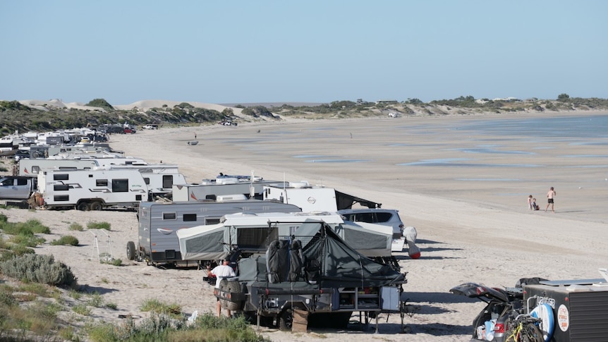 eyre peninsula camping