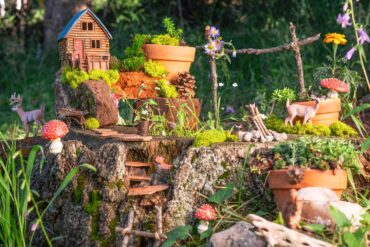 fairy garden