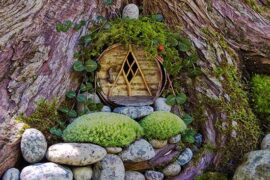 fairy gardens