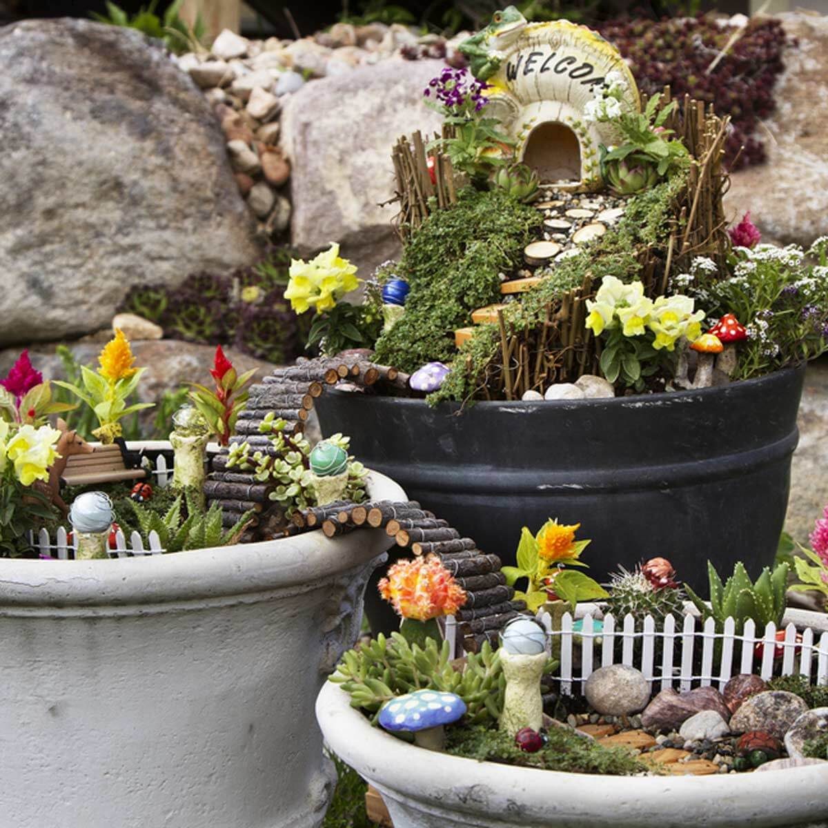 fairy gardens