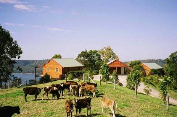 farm stay near brisbane