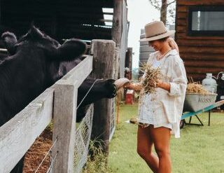 farm stay near sydney