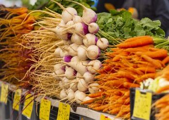 farmers market adelaide