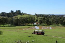 farms near sydney