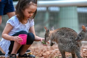 featherdale wildlife park doonside sydney