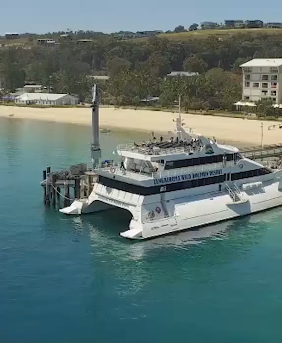 tangalooma day trip ferry