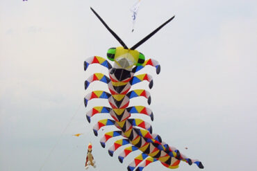 festival of kites