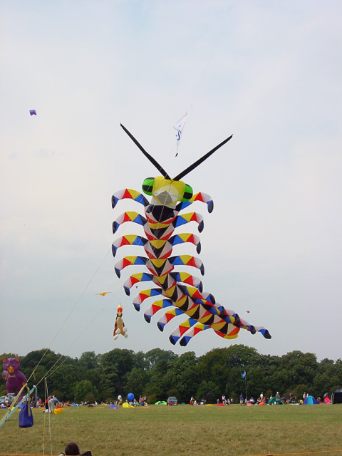 festival of kites