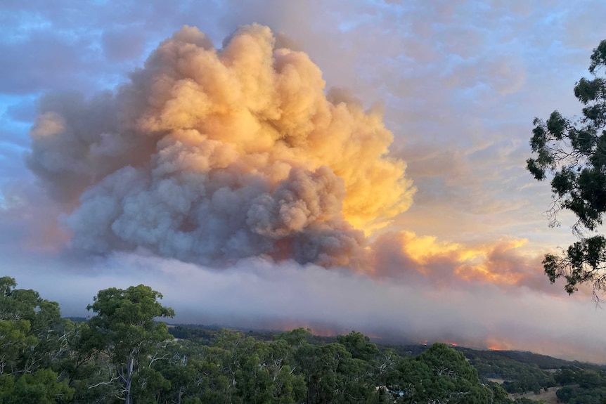 fires in adelaide hills