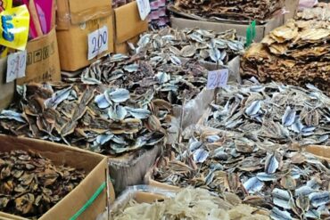 fish market brisbane